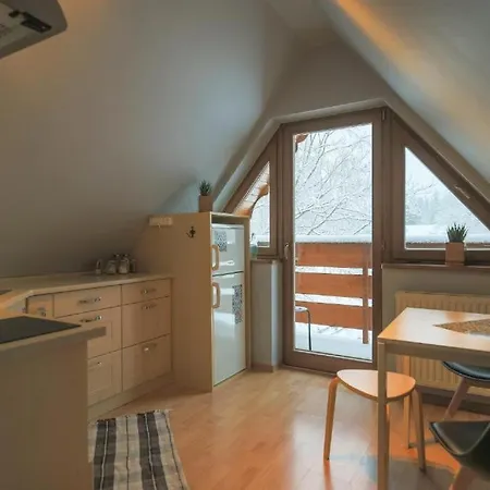 Trzynastka Pod Krokwia - Blisko Skoczni I Kuznic Apartment *